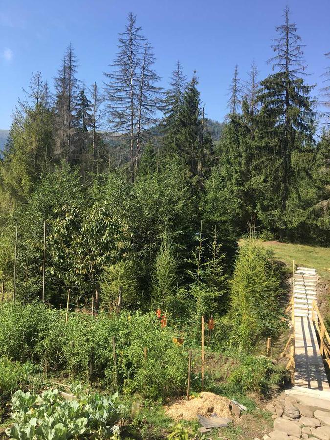 Wooddream Hotel Volóc Kültér fotó